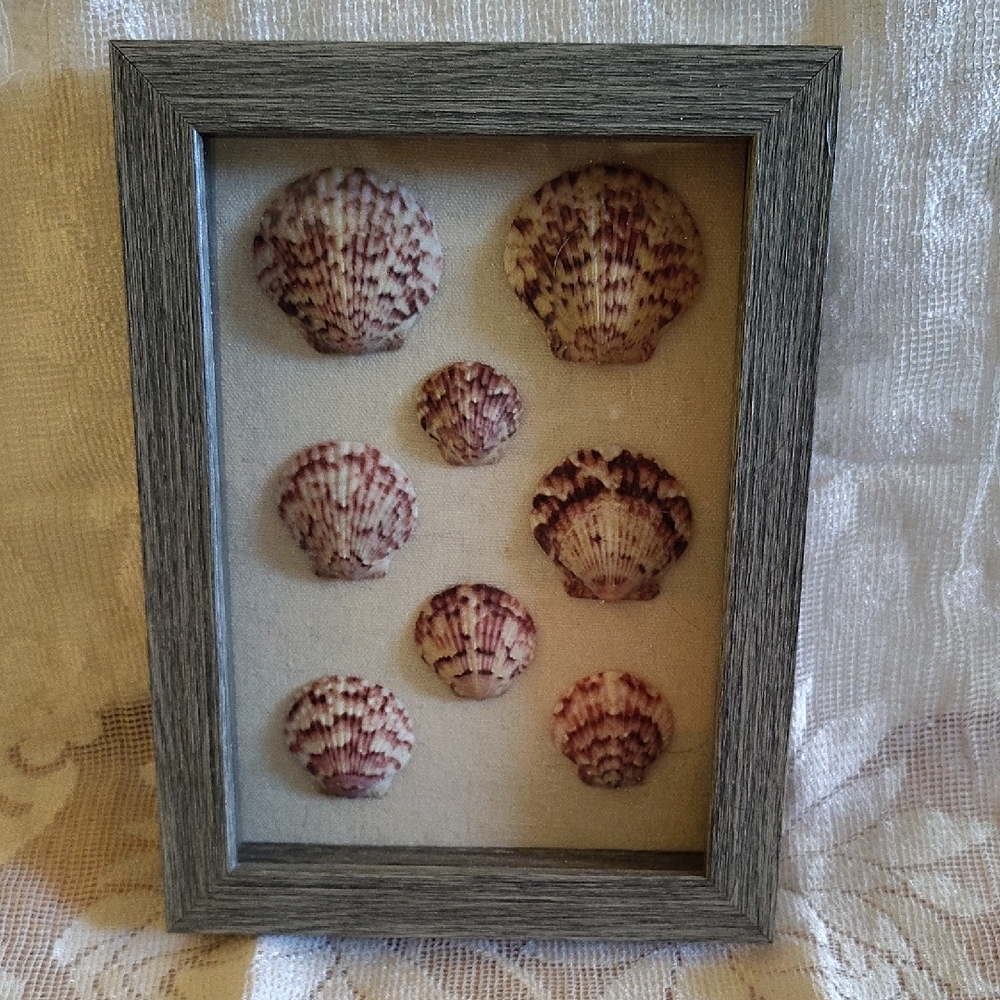 Framed Seashell Wall Art - Gray Frame with Purple Shells